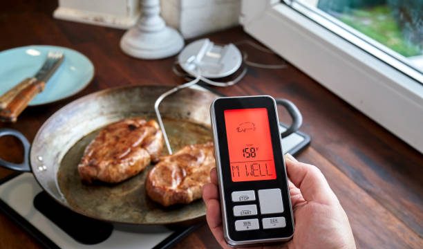 Instant-Read Thermometer