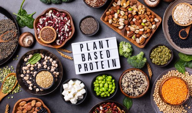 plant-based protein